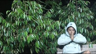 🔴 MARI BERGABUNG DI LIVE BELAJAR CARA MENANAM DURIAN AGAR CEPAT BESAR