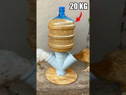 Tavuklarınızın Kesinlikle Bayılacağı Otomatik Tavuk Yemlik Yapımı! #chicken #diy