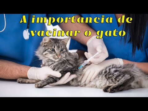 A importância das vacinas #141