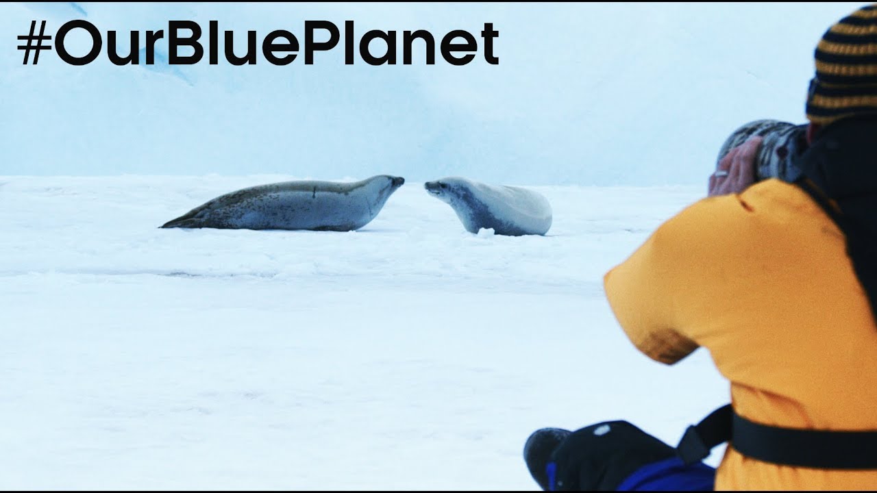 Filming On Thin Ice In Antarctica #OurBluePlanet BBC Earth