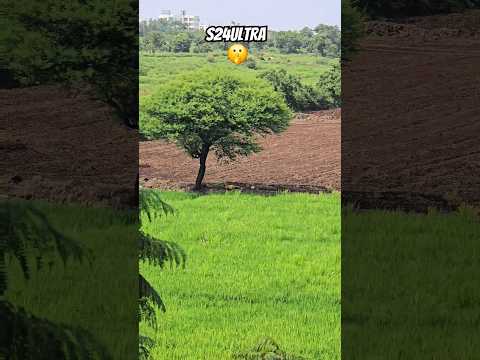 🤯 20x Zoom on Samsung S24 Ultra 🔥 🤫 🙆‍♂️ #s24ultra #Samsung #shortfeed #shorts #shortsvideos #trend