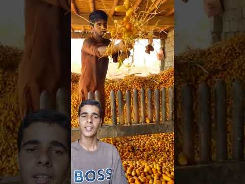 اعمل بذكاء وليس بجهد