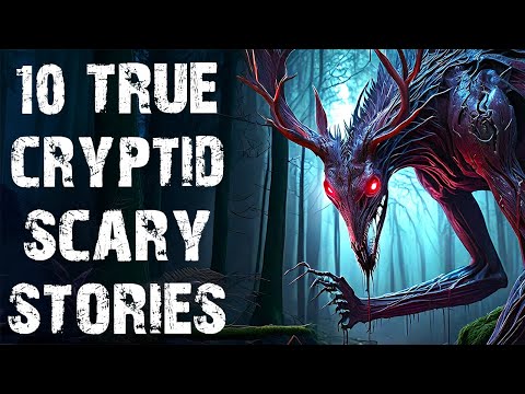 10 True Disturbing Cryptid & Inexpiable Encounter Scary Stories | Horror Stories To Fall Asleep To