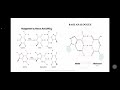 Mutagenesis and DNA Damage Mechanisms