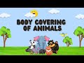 Animal Body Coverings and Functions