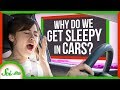 Understanding Driver Fatigue and Team Management Tools
