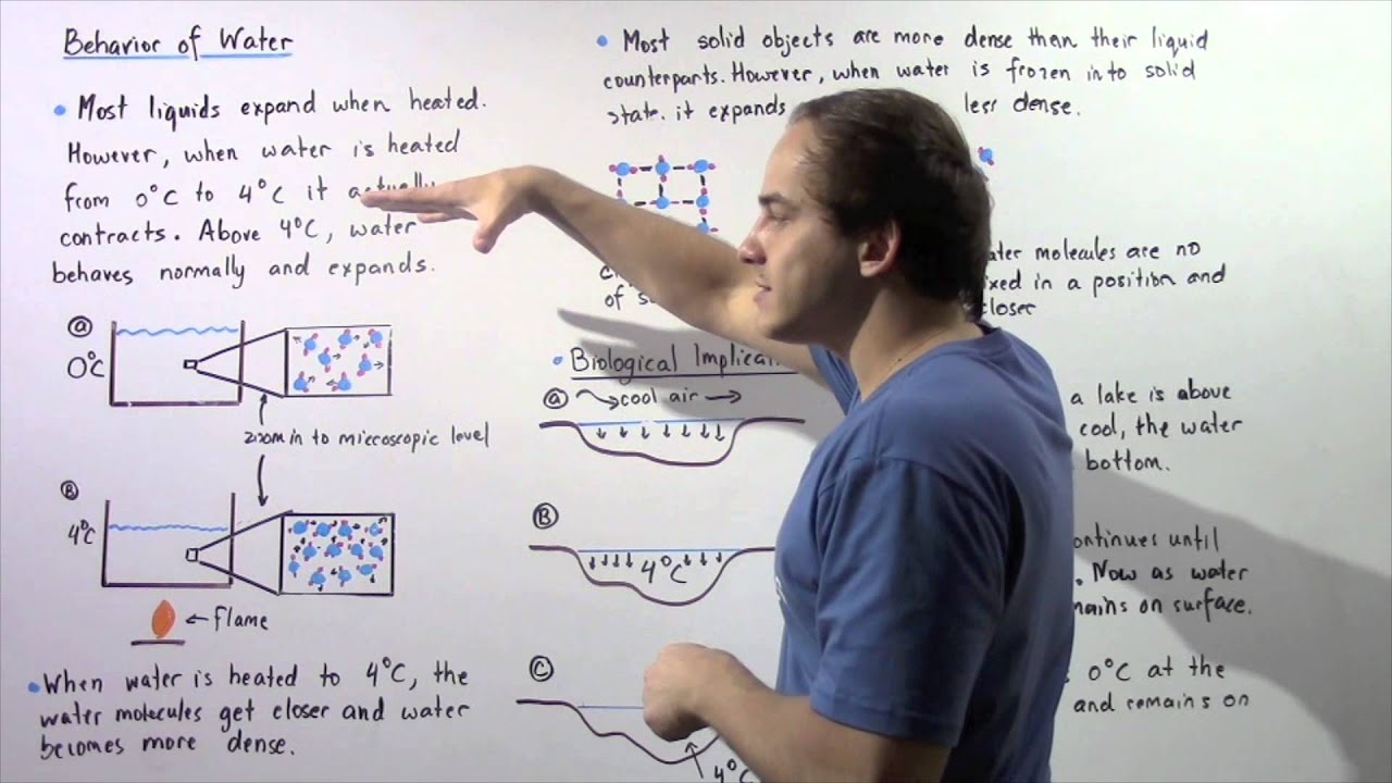 Behavior of Water Below 4 Celsius