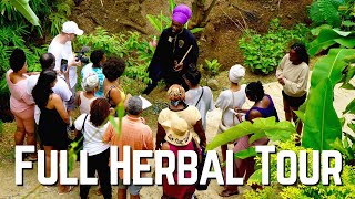 Learn to Heal YOURSELF! Full Herbal Healing tour W/ Rastafari Priest @Rt. Hon. Priest Kailash