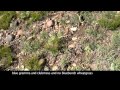 Utilization Monitoring in Grazing Management