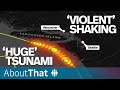 Understanding the Big One: Earthquake and Tsunami Risks