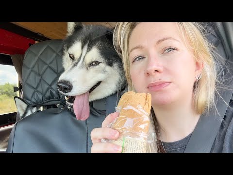 The Husky Back Seat Driver Continues!