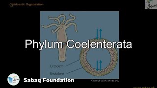 Advance Phylum Coelenterata