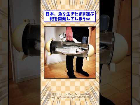日本、魚を生きたまま運ぶ鞄を発明してしまうw