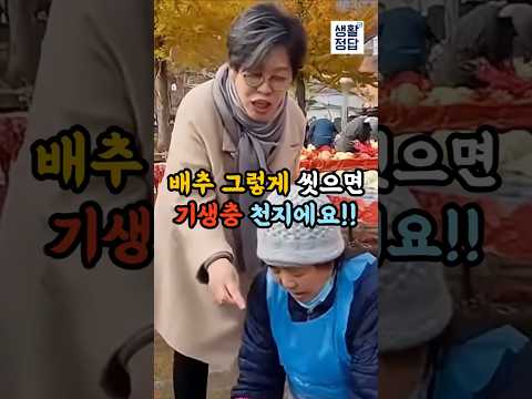김장 배추 '이렇게' 안 씻으면, 1년 내내 기생충알 먹습니다!