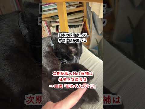 【激怒】次期総裁のNo1候補「林芳正官房長官！」→「舐めてんのか💢」