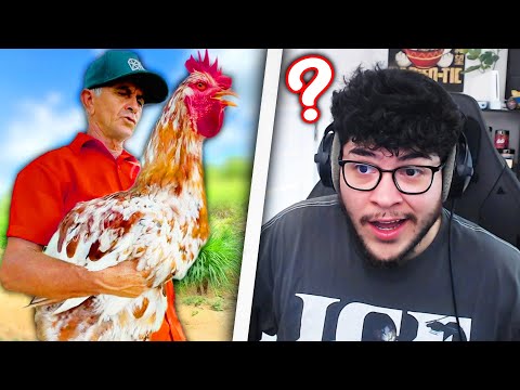 Reacting To YOUR Daily Dose Of Internet