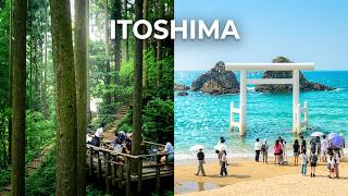 일본 소도시여행 후쿠오카 이토시마 반나절 버스투어 해변 숲카페 추천 JAPAN TRAVEL ITOSHIMA BEACH