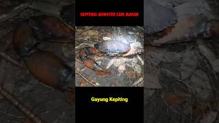KAKI SEROK PENUH KAWAN #monsterkepitingbakau #kepitinghitam #mancing #Omduren