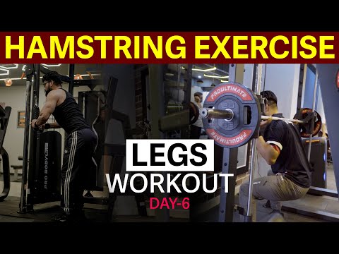 LEGS DAY workout series DAY-6🦵🏻|| EFFECTIVE HAMS WORKOUT🏋️|| push pull legs series