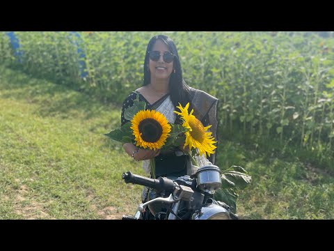 🌻லண்டனில் சூரியகாந்தி தோட்டம் 🌻 | Giant Sunflower Farm London | UK Tamil | AnithaAnand