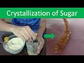 Sugar Crystallization Experiment Concepts