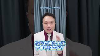 【特斯拉逆势飙升】下半年引领华尔街MAG7？回归股王宝座？#特斯拉股票 #美股 #股哥说美股 #tesla #马斯克 #AI #FSD #木头姐 #Robotaxi
