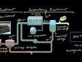 Wastewater Treatment Processes and Concepts