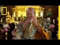 Tiger Temple Experience and Conservation