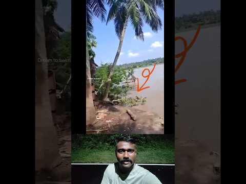 Do you want to watch a video full of surprises?Will the coconut fall into this water or not? #shorts
