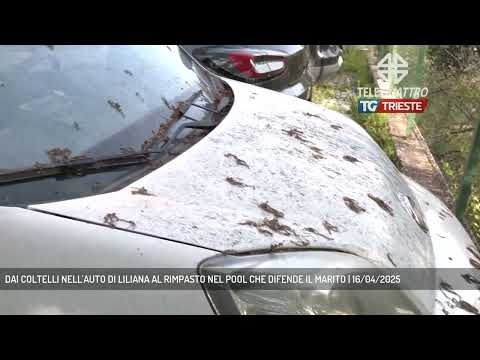DAI COLTELLI NELL'AUTO DI LILIANA AL RIMPASTO NEL POOL CHE DIFENDE IL MARITO | 16/04/2025