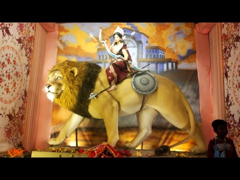 Bilaspur Durga Pandal 2024