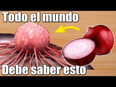 Si has comido CEBOLA cruda, mira esto ahora. Una sola puede causar una reacción IRREVERSIBLE