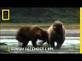 Alaska State Troopers Overview