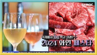 축제에서 와인 먹고 갈래? 2024 와인 페스타 다시보기