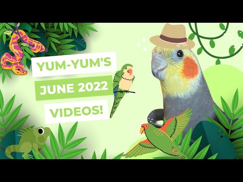 YumYum’s June Videos