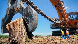 Dangerous Fastest Biggest Stump Removal Excavator Skills, Extreme Stump Removal Grinding Machines
