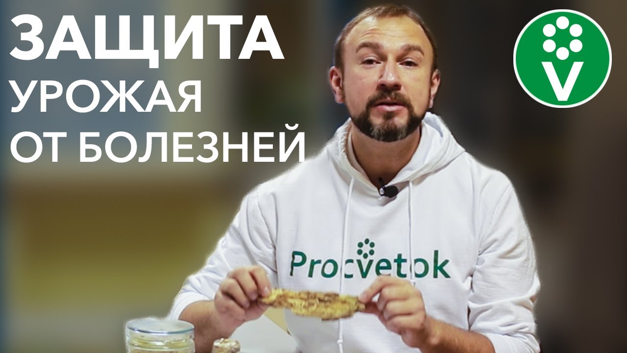 Невероятно! Школьник обнаружил бесплатное средство от болезней растений в лесу