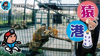 【BRIEF#78】猿港｜大阪 堺 大浜公園