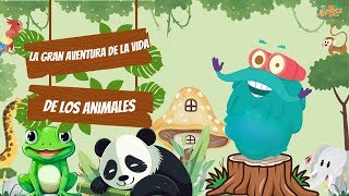 La Vida de la Rana, la Mariposa y el Panda 🐸🦋🐼 | Educativos Para Niños