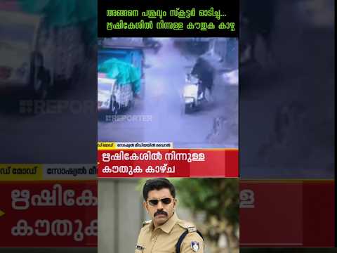 അങ്ങനെ പശുവും സ്‌കൂട്ടർ ഓടിച്ചു...😂|#Troll #malayalam#Malayalam#shorts #2024#shortshorts