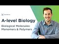 Biological Molecules and Reactions