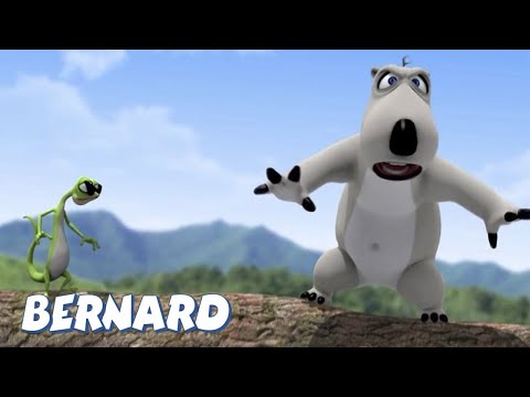 Epic Fail Alert! 🚨 Bernard Almost Falls Off a Cliff! Bernard Bear - Episode 66 | Super Toons TV