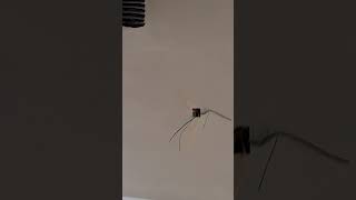 Site Video 4 فيديو الموقع