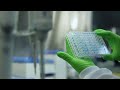Understanding Vaccine Development