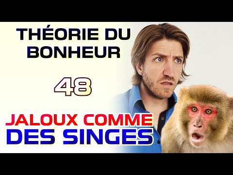 Jaloux comme des singes - Théorie du Bonheur - 48