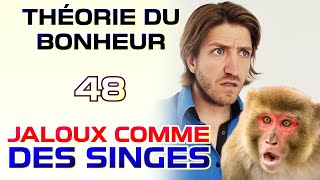 Jaloux comme des singes - Théorie du Bonheur - 48