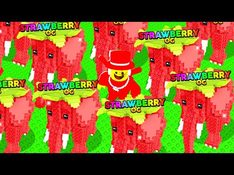 VIREI DONO DO ROUBE UM BRAINROT POR UM DIA NO ROBLOX 🤑 (ATIVEI TODOS EVENTOS)