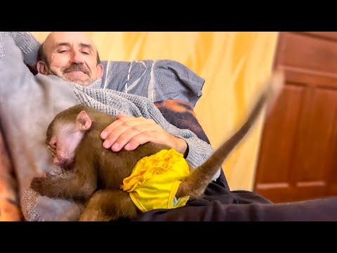 Люська с Жориком по-моему ПОМИРИЛИСЬ! Жорик молчит, Люська свободно гуляет по его вольеру!