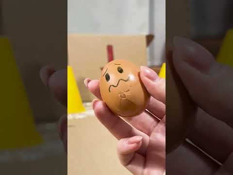 Egg vs RC