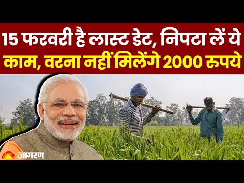 PM Kisan Yojana 19th Installment Update: 15 फरवरी है से पहले निपटा लें ये काम, नहीं मिलेंगे ₹2000